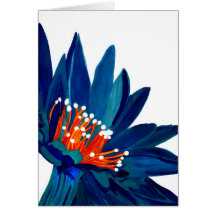 Explosión de la flor felicitación