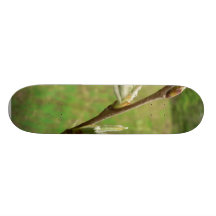 Explosión de la hoja tabla de patinar