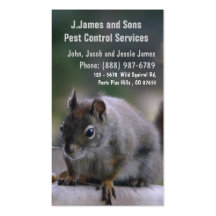 Exterminator de los bichos del control de parásito plantillas de tarjeta de negocio