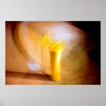 Extracto amarillo poster