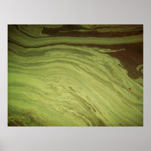 Extracto de las naturalezas poster