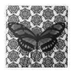 Extracto del negro con la teja de las mariposas
