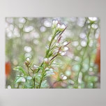 Extracto - el jardín temprano de la primavera posters