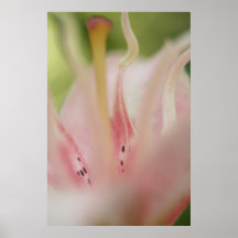Extracto en colores pastel impresiones