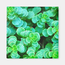 Extracto floral verde imán de frigorifico