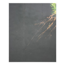 Extracto - pintura cojinete