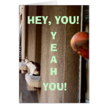 ¡Ey, usted! Felicitación