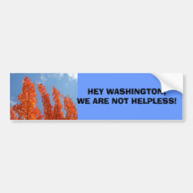 ¡EY WASHINGTON NO SOMOS DESAMPARADOS! Política Etiqueta De Parachoque