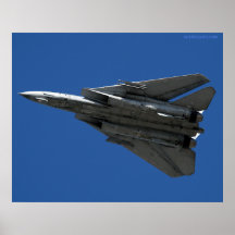 F14 de los parcas posters
