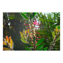 F.06.L - Transcendental Impressão Fotográficas