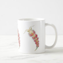 Facelina Taza