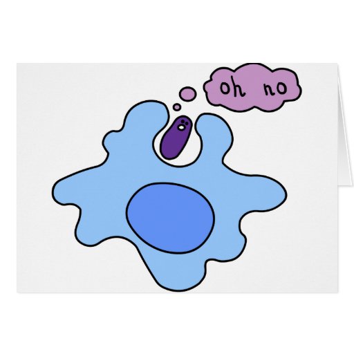 Fagocitosis de las bacterias tarjetón