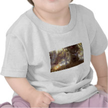Fairys day off t shirt