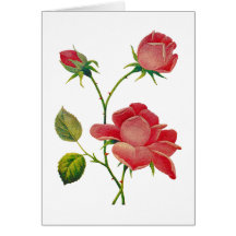 Falsos rosas de color rosa oscuro bordados felicitación