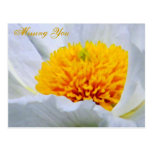 Falta de usted/de cualquier Occasion_Postcard Postal