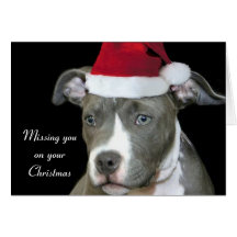 Falta de usted en tarjeta azul del perrito del pit