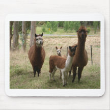 familia de la llama alfombrillas de ratones