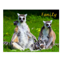 Familia de los Lemurs Postales