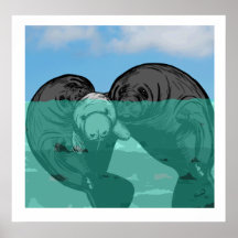 Familia de Manatíes/familia de los Manatees Posters
