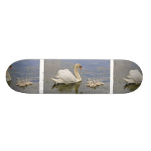 Familia del cisne patines 