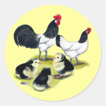Familia del pollo de Lakenvelder Pegatinas Redondas