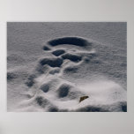 fantasma de la nieve posters
