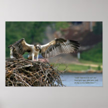 Fantasma de Osprey Poster