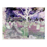 Fantasma en el cementerio postales