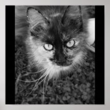 Fantasmagórico el gato impresiones