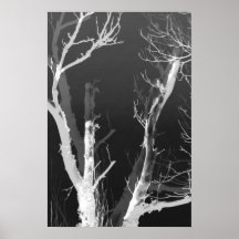 Fantasmas Poster