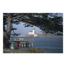 Faro a través de los árboles fotos