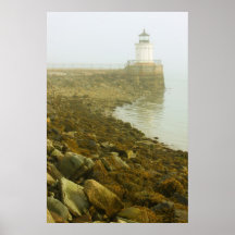 Faro Portland Maine del insecto Poster