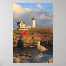 Faro y gaviota de la protuberancia pequeña de Nedd Poster