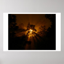 Farola Starburst Poster