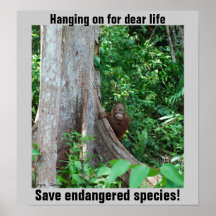 Fauna de la selva tropical impresiones