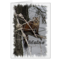 Fauna de Maine - marta de pino Felicitación