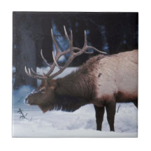Fauna del invierno con las astas en la nieve azulejos ceramicos