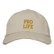 Favorable vida gorra de beisbol bordada