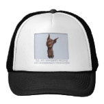Favorito del Pinscher del Doberman (cervatillo) Gorros Bordados