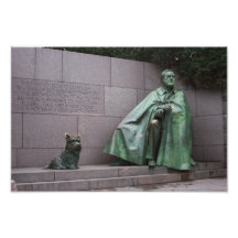 FDR COJINETE