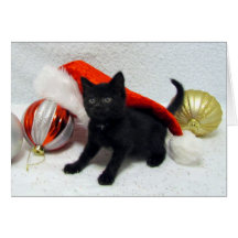 Felices Navidad de Joon (el gatito del rescate). Tarjeton