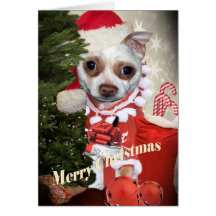 Felices Navidad de la chihuahua Tarjeton