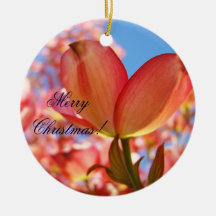 ¡Felices Navidad! Dogwood del rosa del ornamento d Ornamento De Navidad
