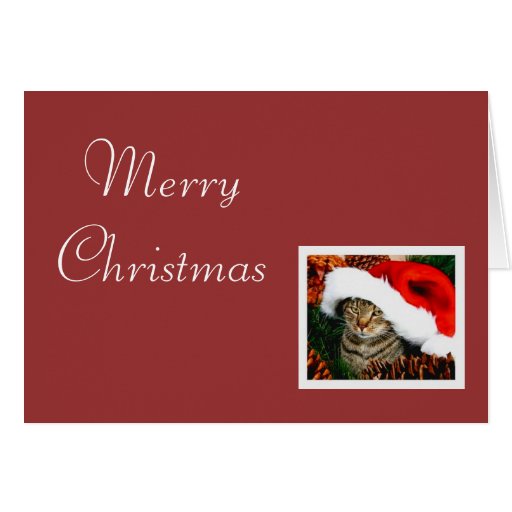 Felices Navidad Felicitacion