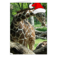 Felices Navidad/jirafa Felicitación