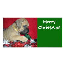 Felices Navidad - perrito de Bullmastiff Tarjetas Fotográficas Personalizadas