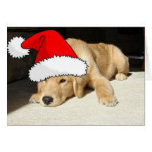 Felices Navidad/perrito del golden retriever Felicitación