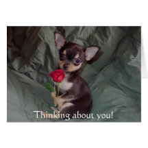 Feliz color de rosa de la chihuahua linda adorable tarjetón