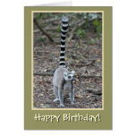 Feliz cumpleaños Anillo-Atado del Lemur Felicitacion