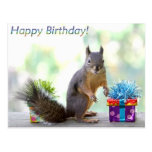 ¡Feliz cumpleaños de la ardilla! Tarjeta Postal